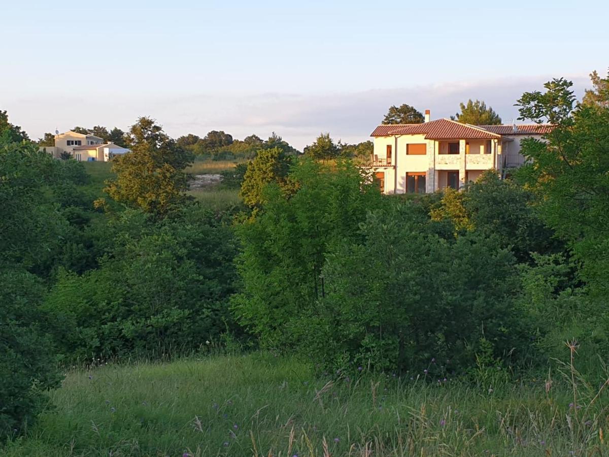 Villa Istra Divšići 外观 照片
