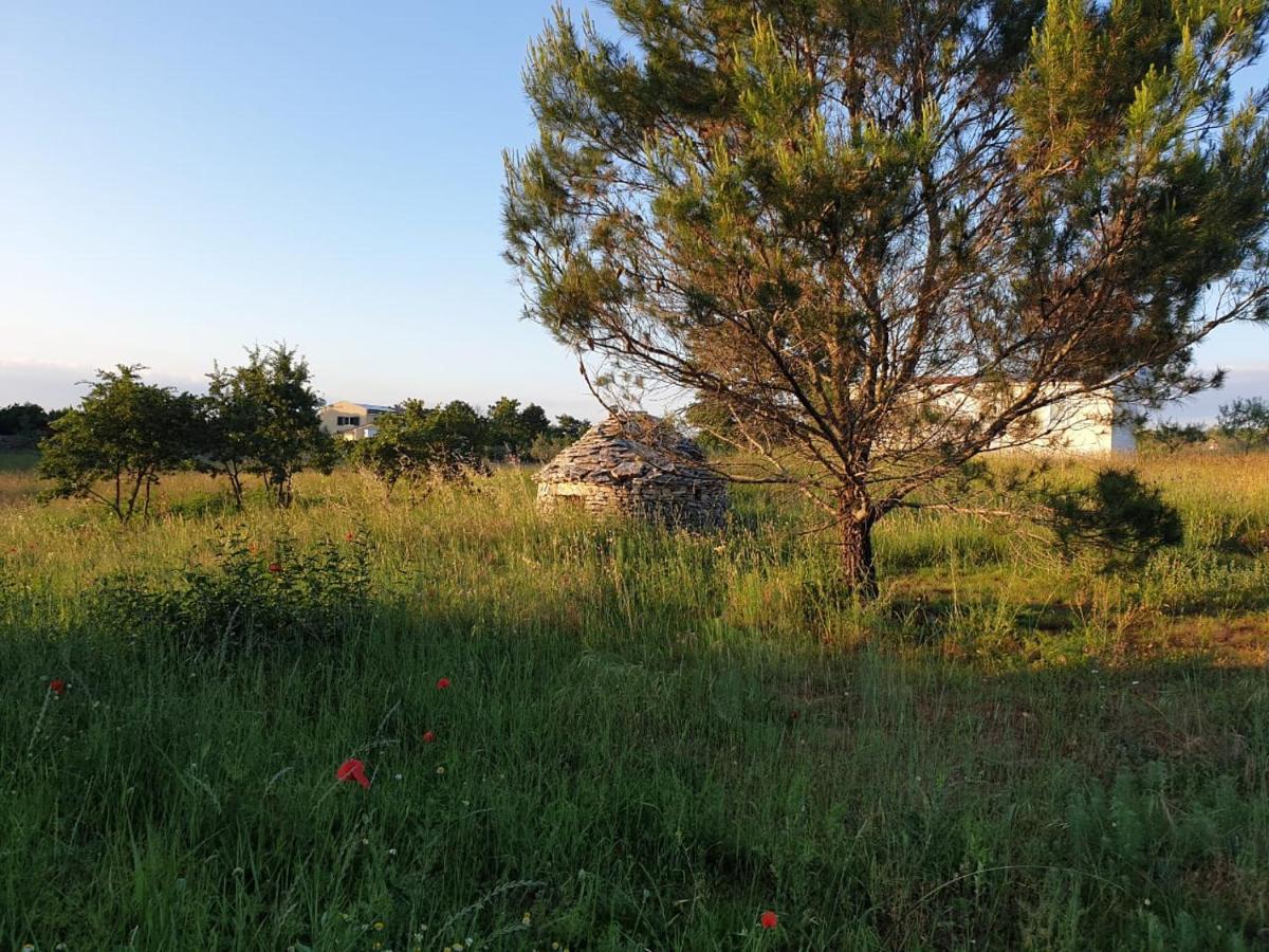 Villa Istra Divšići 外观 照片