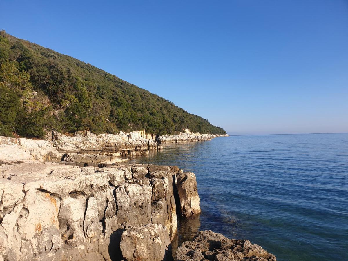 Villa Istra Divšići 外观 照片