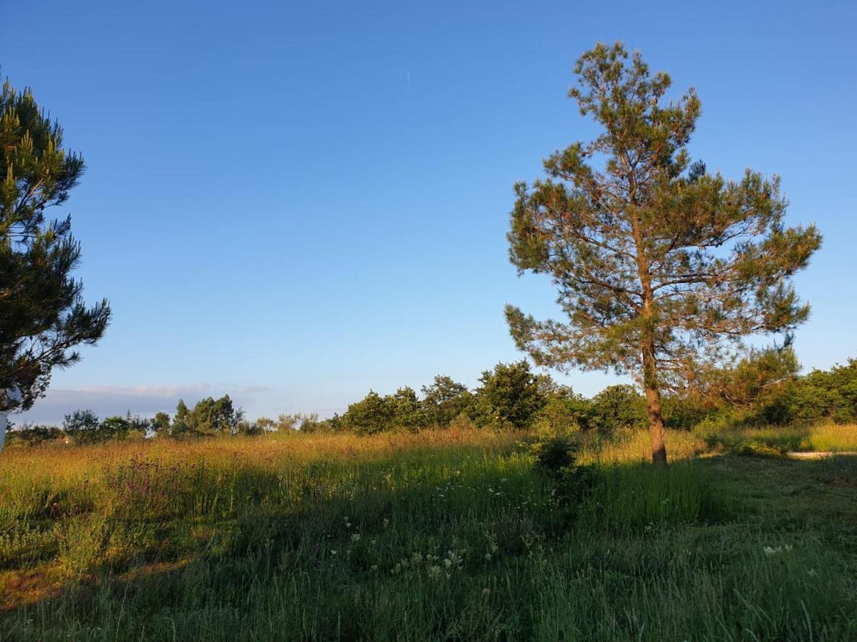 Villa Istra Divšići 外观 照片